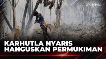 Warga Panik! Kebakaran Lahan Palangka Raya Nyaris Sambangi Rumah Warga | KOMPAS PETANG