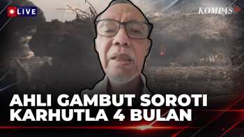 Karhutla 4 Bulan Belum Padam, Guru Besar UGM Ilmu Tanah Soroti Strategi Pemadaman