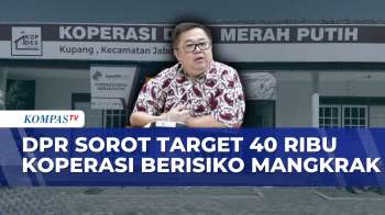 Anggota Komisi VI DPR RI Nilai 40 Ribu Koperasi Desa Berisiko Mangkrak | BERUT
