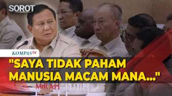 Prabowo Beri Jawaban Menohok Ke Pihak Yang Kritik MBG: Hei, Orang-Orang Pintar Yang Ngejek Lihatlah!