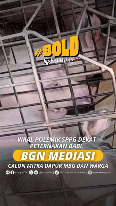 VIRAL POLEMIK SPPG DEKAT PETERNAKAN BABI, BGN MEDIASI CALON MITRA DAPUR MBG DAN WARGA
