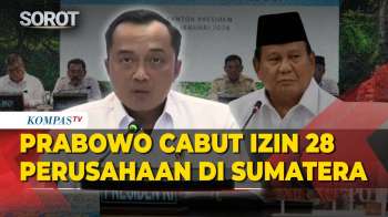 Tok! Presiden Prabowo Cabut Izin 28 Perusahaan Terkait Penyalahgunaan Hutan Sumatera