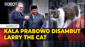 Kala Prabowo Disambut Larry The Cat Saat Bertemu PM Inggris Keir Starmer
