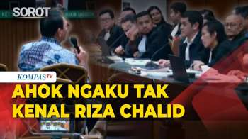 Ahok Di Sidang Kasus Minyak: Ngaku Tak Kenal Riza Chalid