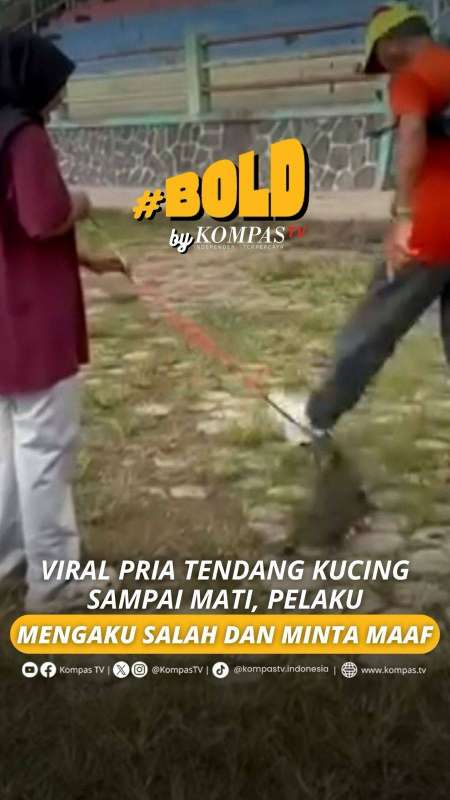 VIRAL PRIA TENDANG KUCING SAMPAI MATI, PELAKU MENGAKU SALAH DAN MINTA MAAF