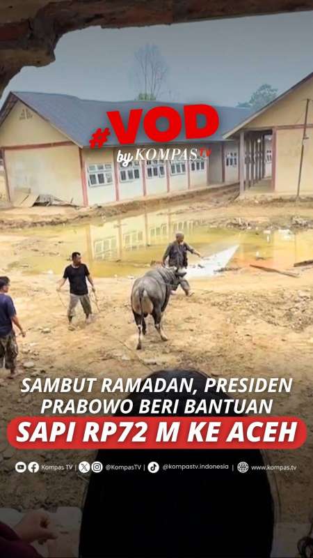 SAMBUT RAMADAN, PRESIDEN PRABOWO BERI BANTUAN SAPI RP 72 M KE ACEH