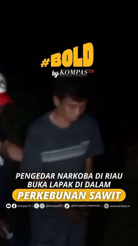 PENGEDAR NARKOBA DI RIAU BUKA LAPAK DI DALAM PERKEBUNAN SAWIT