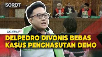 Delpedro Marhaen Cs Divonis Bebas, Tak Terbukti Lakukan Penghasutan Demo Ricuh Agustus 2025