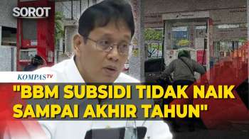 DPR Tepuk Tangan, Menkeu Purbaya: BBM Subsidi Tidak Akan Naik Sampai Akhir Tahun