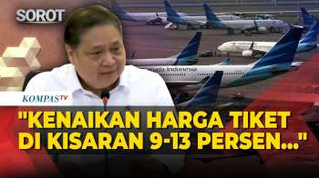 Harga Tiket Pesawat Naik Imbas Avtur Melonjak, Menko Airlangga: Hanya 9 Hingga 13 Persen