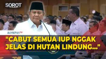 Prabowo Perintah Bahlil Harus Kerja Lebih Cepat Cabut IUP di Hutan Lindung: Enak Aja Dua Minggu!