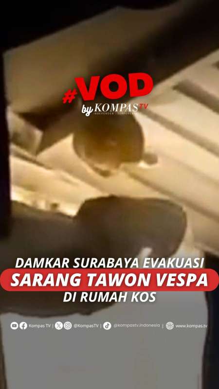 Damkar Surabaya Evakuasi Sarang Tawon Vespa Di Rumah Kos