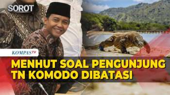 [FULL] Depan DPR, Menhut Jelaskan Pembatasan Wisatawan Taman Nasional Komodo Dibatasi