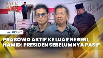 Di Tengah Efisiensi Prabowo Aktif ke Luar Negeri, Hamid Awaluddin: Presiden Sebelumnya Pasif