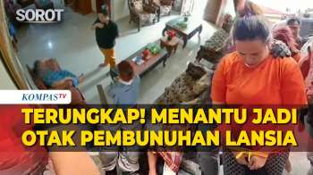 Blak-Blakan! Polisi Beberkan 'Menantu' Jadi Otak Pembunuhan Nenek Di Pekanbaru