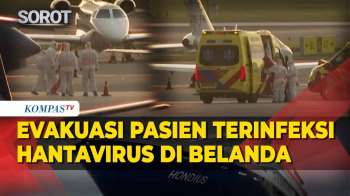 Momen Evakuasi Pasien Terinfeksi Hantavirus di Belanda, Petugas Kenakan APD