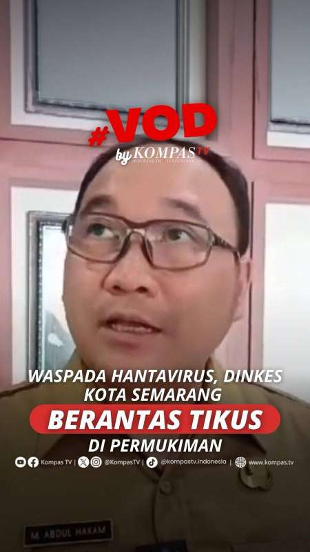 WASPADA HANTAVIRUS, DINKES KOTA SEMARANG BERANTAS TIKUS DI PERMUKIMAN
