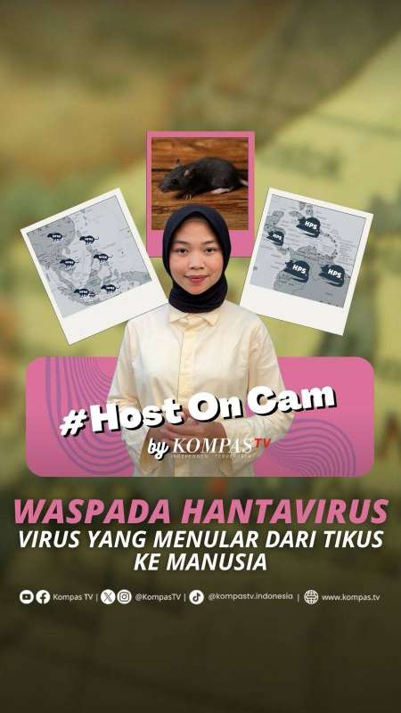 WASPADA HANTAVIRUS, VIRUS YANG MENULAR DARI TIKUS KE MANUSIA