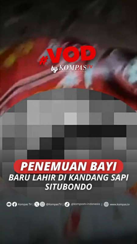 PENEMUAN BAYI BARU LAHIR DI KANDANG SAPI SITUBONDO