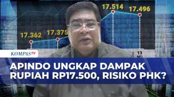 APINDO Ungkap Dampak Rupiah Rp17.500, Pengusaha: Awas Gelombang PHK!