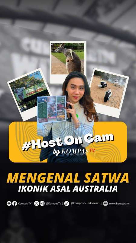 MENGENAL SATWA IKONIK ASAL AUSTRALIA