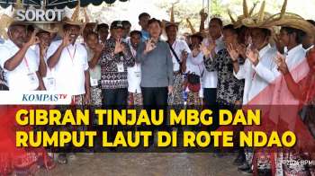 Wapres Gibran Dorong Hilirisasi Rumput Laut Dan Tinjau Program MBG Di Rote Ndao
