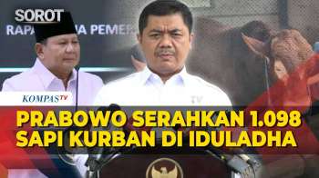 [FULL] Presiden Prabowo Serahkan 1.098 Sapi Kurban Di Iduladha 2026, Anggaran Capai Rp100 M