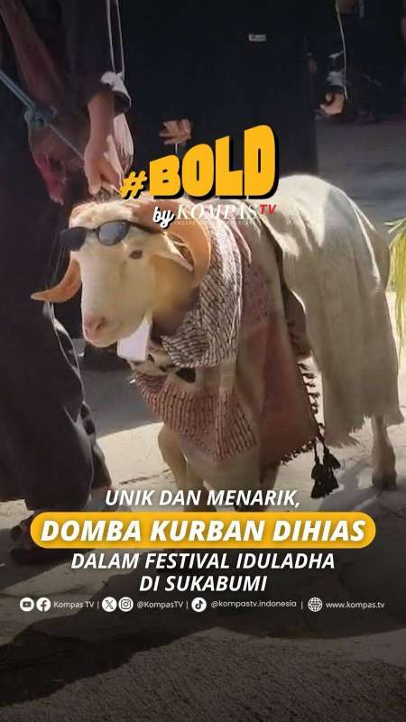 UNIK DAN MENARIK, DOMBA KURBAN DIHIAS DALAM FESTIVAL IDULADHA DI SUKABUMI 