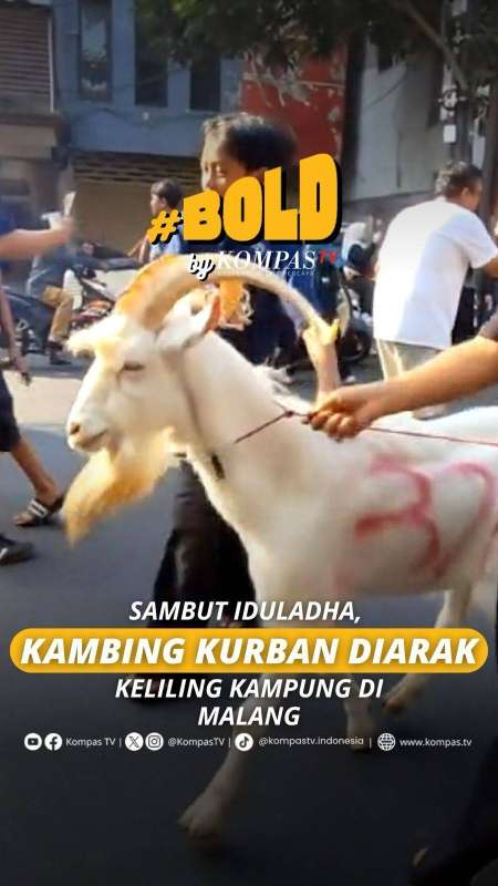 SAMBUT IDULADHA, KAMBING KURBAN DIARAK KELILING KAMPUNG DI MALANG