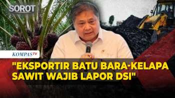 Menko Airlangga: Eksportir Batu Bara, Sawit, dan Ferro Alloy Wajib Lapor DSI Mulai 1 Juni