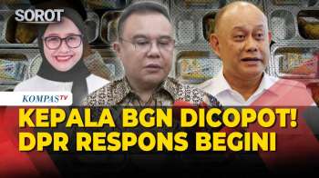 Kepala BGN Dadan Dicopot, Wakil Ketua DPR Dasco Apresiasi Evaluasi Prabowo
