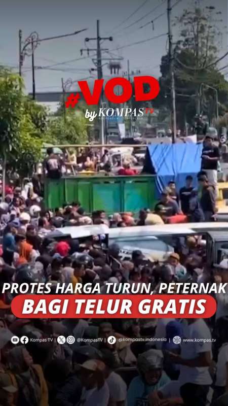 PROTES HARGA TURUN, PETERNAK BAGI TELUR GRATIS