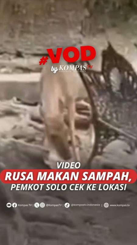 VIDEO RUSA MAKAN SAMPAH, PEMKOT SOLO CEK KE LOKASI