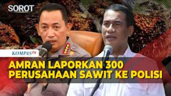 Mentan Amran Laporkan 300 Perusahaan Sawit ke Polisi: Tembusan Langsung ke Kapolri