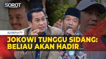 Kubu Jokowi Pastikan Ijazah SD hingga S1 Dibuka di Pengadilan, Roy-Tifa Tetap Melawan?