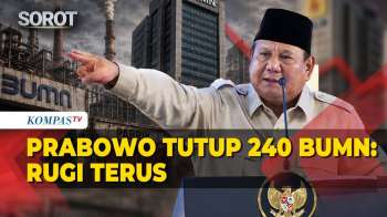 Presiden Prabowo Cerita Tutup 240 BUMN: Enggak Ada Yang Untung, Rugi Terus