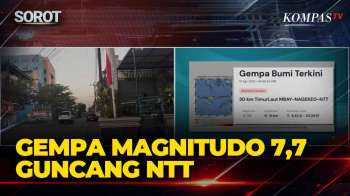 Gempa M 7,7 Guncang Nagekeo NTT, BMKG Keluarkan Peringatan Dini Tsunami