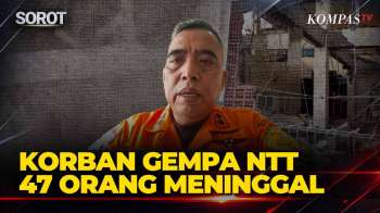 Update Gempa NTT: 47 Orang Meninggal, Ratusan Rumah Rusak