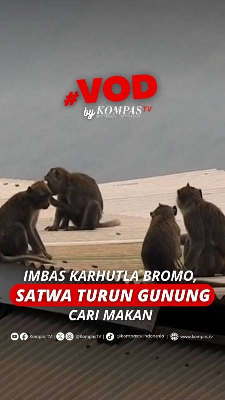 IMBAS KARHUTLA BROMO, SATWA TURUN GUNUNG CARI MAKAN