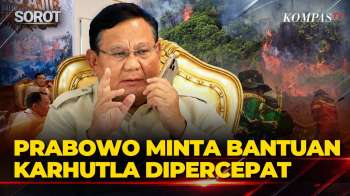 Momen Prabowo Telepon Minta Pengiriman Bantuan Karhutla di Kalteng Dipercepat