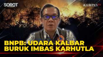 [FULL] BNPB: Udara Kalbar Buruk Imbas Karhutla, Jarak Pandang di Bawah 1 Km