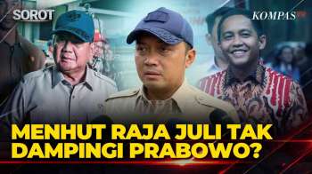 Menhut Raja Juli Tak Dampingi Prabowo Cek Karhutla, Istana Jawab Begini
