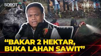 Polisi Ungkap Modus Karhutla Di Kalbar: Lahan 2 Hektar Dibakar Untuk Pembukaan Lahan Kebun Sawit