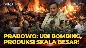 Terobosan! Prabowo Dorong Ubi Bombing untuk Atasi Karhutla, Tepung Singkong Ditebar dari Helikopter