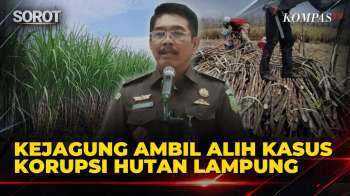 Alasan Kasus Dugaan Korupsi Hutan Lampung Diambil Alih Kejagung