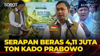 Bulog Sebut Serapan Beras 4,11 Juta Ton Kado Dua Tahun Pemerintahan Prabowo