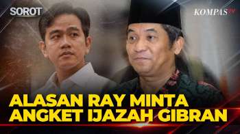 Ray Rangkuti Beberkan Alasan Desak Hak Angket Ijazah Gibran: Kecurangan Pemilu Harus Dibongkar
