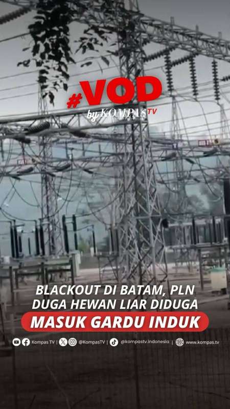 BLACKOUT DI BATAM, PLN DUGA HEWAN LIAR DIDUGA MASUK GARDU INDUK 