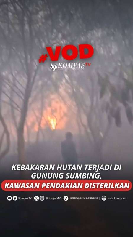 KEBAKARAN HUTAN TERJADI DI GUNUNG SUMBING, KAWASAN PENDAKIAN DISTERILKAN