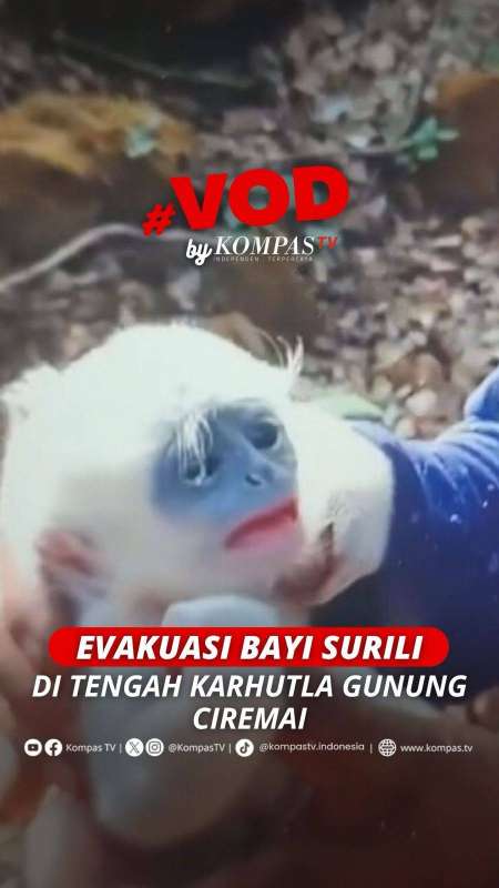 EVAKUASI BAYI SURILI DI TENGAH KARHUTLA GUNUNG CIREMAI